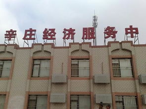 天津企業(yè)注冊與代理服務(wù)全攻略 一站式解決工商執(zhí)照、公司注冊和代理記賬