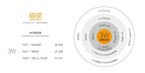 塔望核心業(yè)務(wù)介紹 食品品牌咨詢(xún)、品牌策劃與健康咨詢(xún)服務(wù)的專(zhuān)業(yè)體系